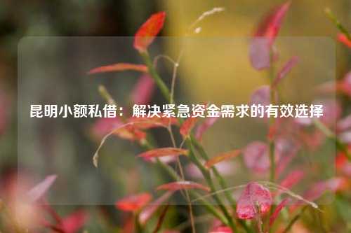 昆明小额私借：解决紧急资金需求的有效选择 昆明生活 昆明急用钱 第1张
