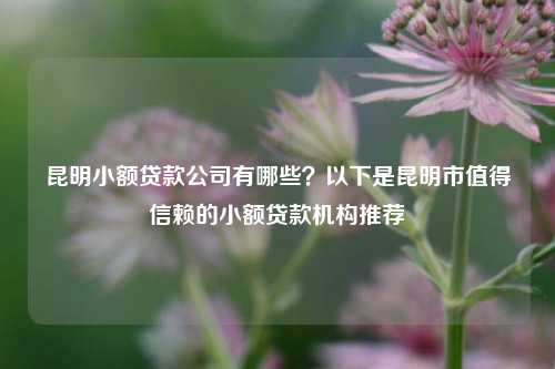 昆明小额贷款公司有哪些？以下是昆明市值得信赖的小额贷款机构推荐 金融 私借空放 第1张