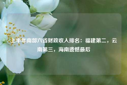 上半年南部六省财政收入排名：福建第二，云南第三，海南遗憾最后
