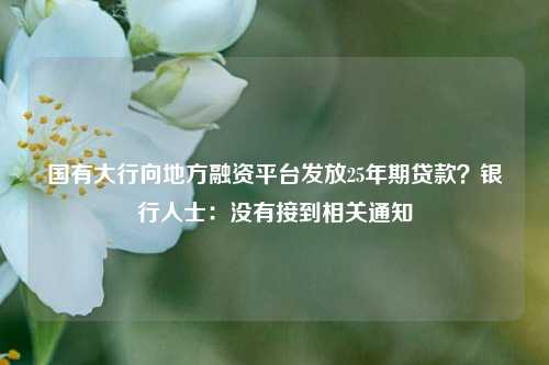 国有大行向地方融资平台发放25年期贷款？银行人士：没有接到相关通知