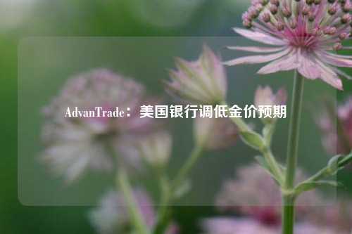 AdvanTrade：美国银行调低金价预期