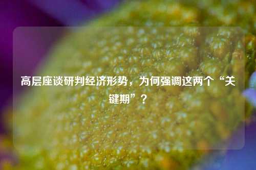 高层座谈研判经济形势，为何强调这两个“关键期”？