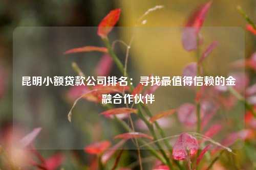 昆明小额贷款公司排名：寻找最值得信赖的金融合作伙伴 金融 民间借贷 第1张