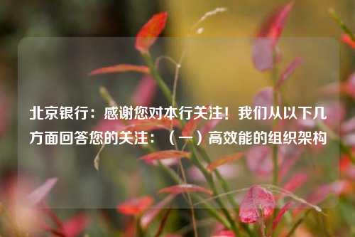 北京银行：感谢您对本行关注！我们从以下几方面回答您的关注：（一）高效能的组织架构