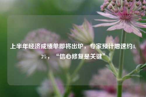 上半年经济成绩单即将出炉，专家预计增速约4.3%，“信心修复是关键”