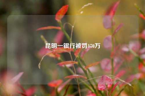 昆明一银行被罚170万