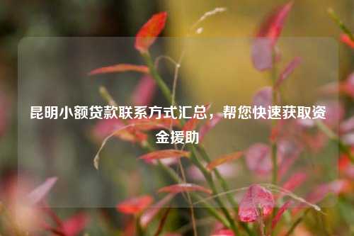 昆明小额贷款联系方式汇总，帮您快速获取资金援助 金融 个人借钱 第1张