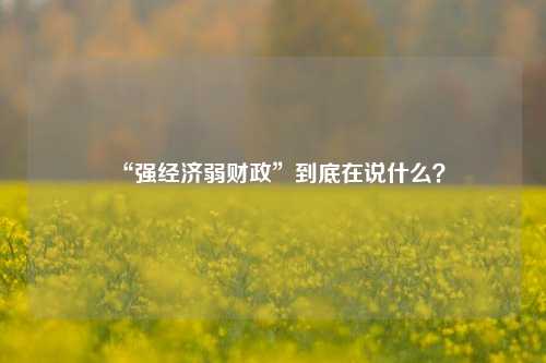 “强经济弱财政”到底在说什么？