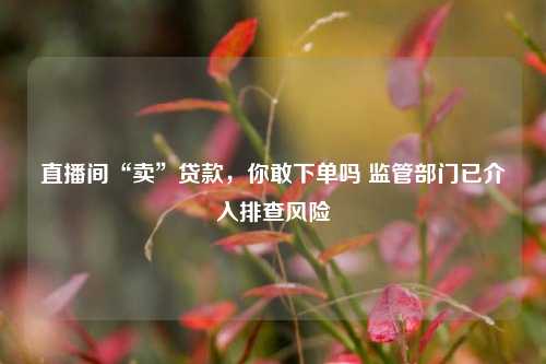 直播间“卖”贷款，你敢下单吗 监管部门已介入排查风险