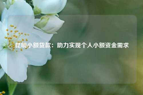 昆明小额贷款：助力实现个人小额资金需求 金融 民间借贷 第1张