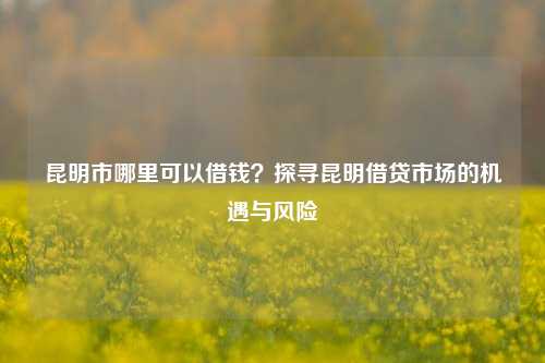 昆明市哪里可以借钱？探寻昆明借贷市场的机遇与风险 利率 民间借贷 第1张