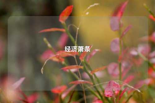 经济萧条