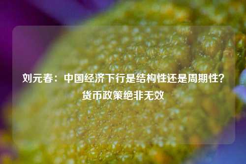 刘元春：中国经济下行是结构性还是周期性？货币政策绝非无效