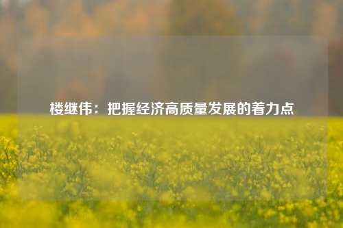 楼继伟：把握经济高质量发展的着力点