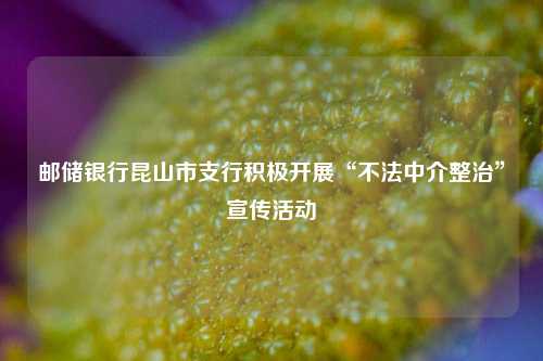邮储银行昆山市支行积极开展“不法中介整治”宣传活动