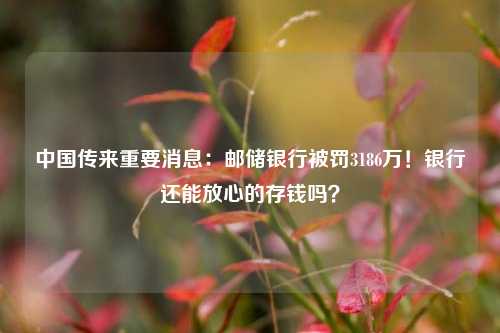 中国传来重要消息：邮储银行被罚3186万！银行还能放心的存钱吗？