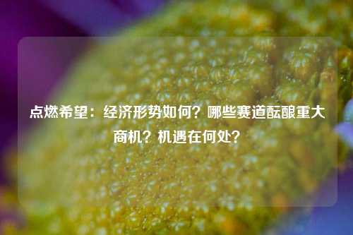点燃希望：经济形势如何？哪些赛道酝酿重大商机？机遇在何处？