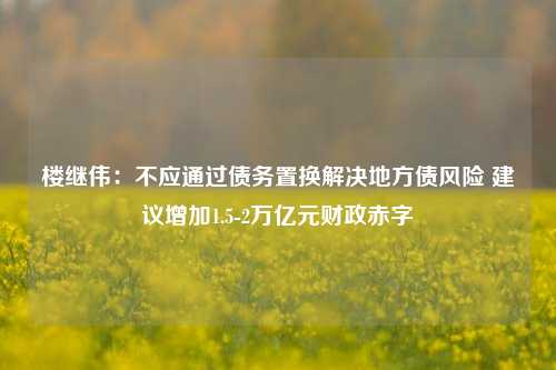 楼继伟：不应通过债务置换解决地方债风险 建议增加1.5-2万亿元财政赤字