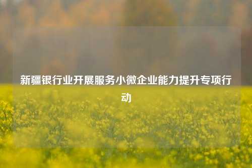 新疆银行业开展服务小微企业能力提升专项行动