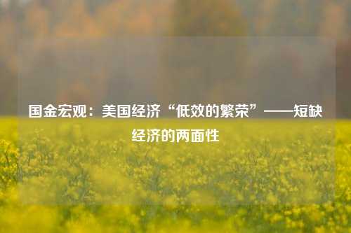 国金宏观：美国经济“低效的繁荣”——短缺经济的两面性