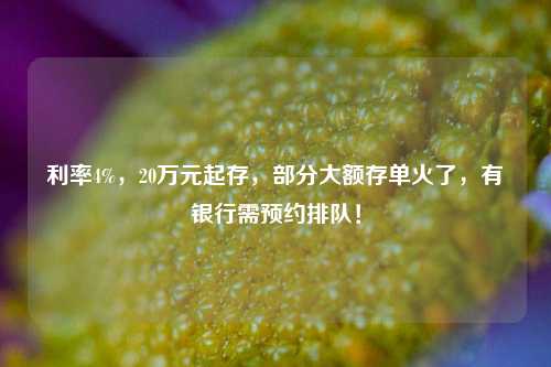 利率4%，20万元起存，部分大额存单火了，有银行需预约排队！