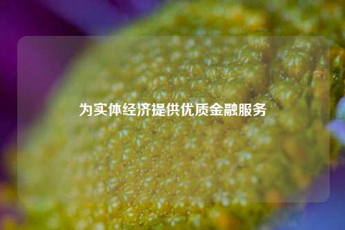 为实体经济提供优质金融服务