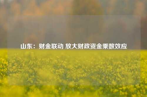 山东：财金联动 放大财政资金乘数效应