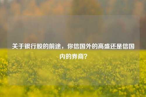关于银行股的前途，你信国外的高盛还是信国内的券商？