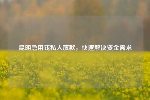 昆明急用钱私人放款，快速解决资金需求