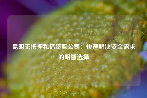 昆明无抵押私借贷款公司：快速解决资金需求的明智选择