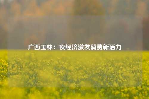 广西玉林：夜经济激发消费新活力