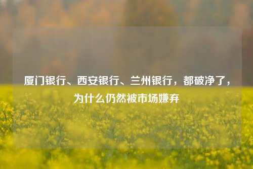 厦门银行、西安银行、兰州银行，都破净了，为什么仍然被市场嫌弃