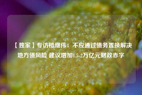 【独家】专访楼继伟：不应通过债务置换解决地方债风险 建议增加1.5-2万亿元财政赤字