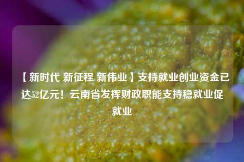 【新时代 新征程 新伟业】支持就业创业资金已达52亿元！云南省发挥财政职能支持稳就业促就业