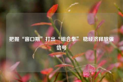 把握“窗口期”打出“组合拳” 稳经济释放强信号