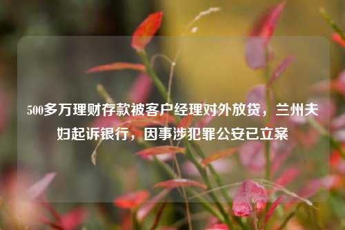 500多万理财存款被客户经理对外放贷，兰州夫妇起诉银行，因事涉犯罪公安已立案
