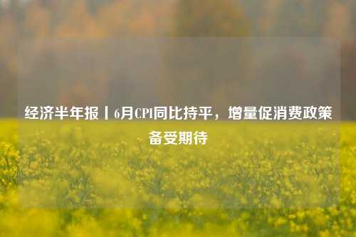 经济半年报丨6月CPI同比持平，增量促消费政策备受期待