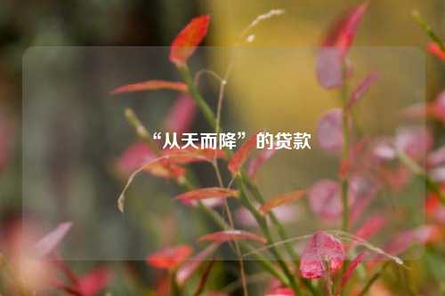 “从天而降”的贷款