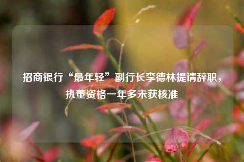 招商银行“最年轻”副行长李德林提请辞职，执董资格一年多未获核准