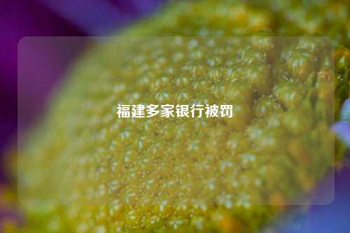 福建多家银行被罚