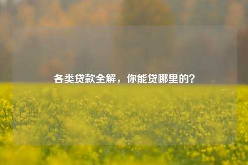 各类贷款全解，你能贷哪里的？