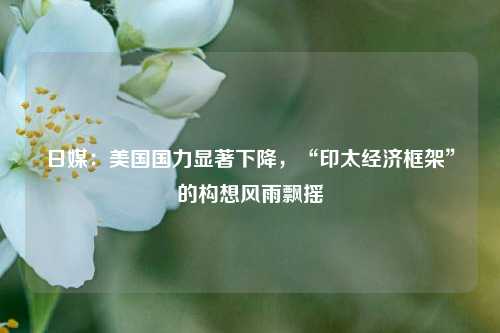日媒：美国国力显著下降，“印太经济框架”的构想风雨飘摇