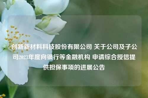 创新新材料科技股份有限公司 关于公司及子公司2023年度向银行等金融机构 申请综合授信提供担保事项的进展公告