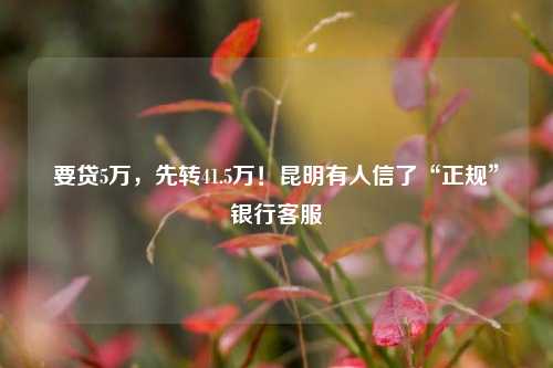 要贷5万，先转41.5万！昆明有人信了“正规”银行客服