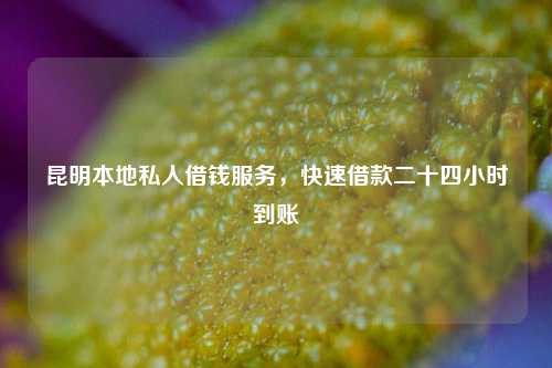 昆明本地私人借钱服务，快速借款二十四小时到账