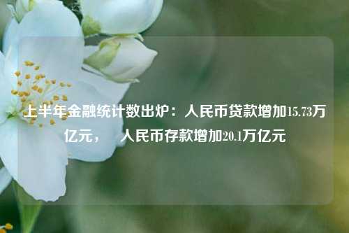 上半年金融统计数出炉：人民币贷款增加15.73万亿元， 人民币存款增加20.1万亿元