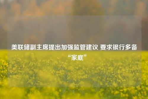 美联储副主席提出加强监管建议 要求银行多备“家底”