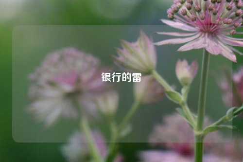 银行的雷