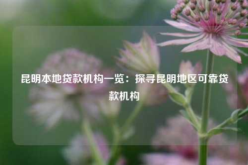 昆明本地贷款机构一览：探寻昆明地区可靠贷款机构