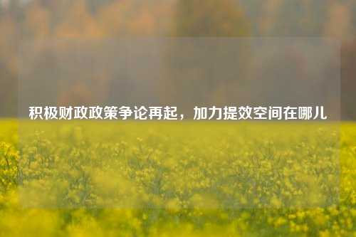 积极财政政策争论再起，加力提效空间在哪儿